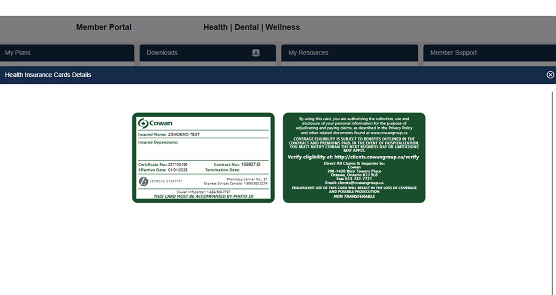 Pro-Vizi end point retrieves policy artifacts